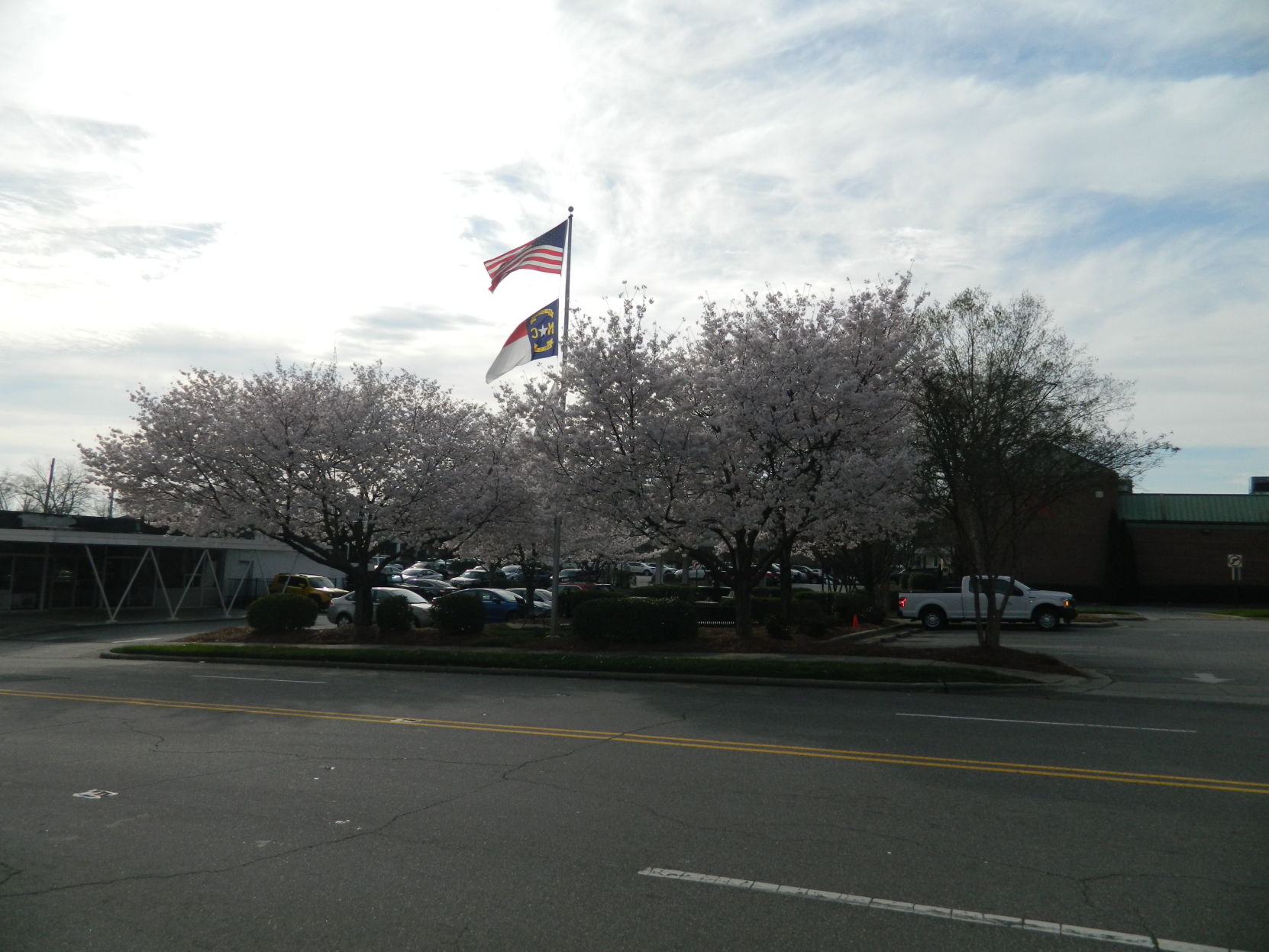 Spring photos (15).JPG